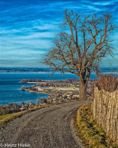 Bodenseeblick