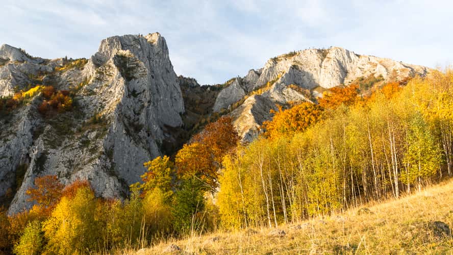 Șesul Craiului / Scărița Belioara