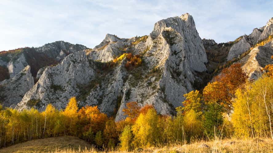 Șesul Craiului / Scărița Belioara