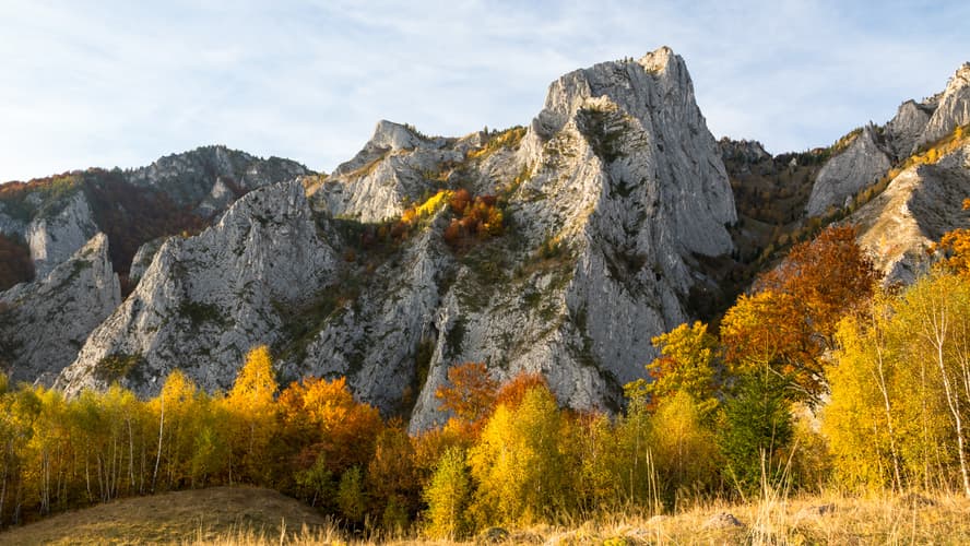 Șesul Craiului / Scărița Belioara