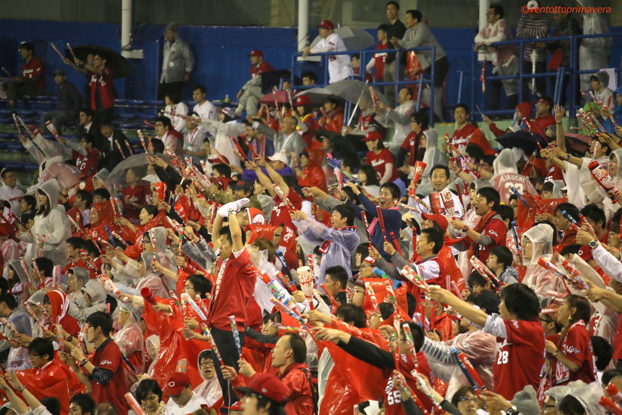 Carp fan in visiter seats of Jingu Stadium, Japan