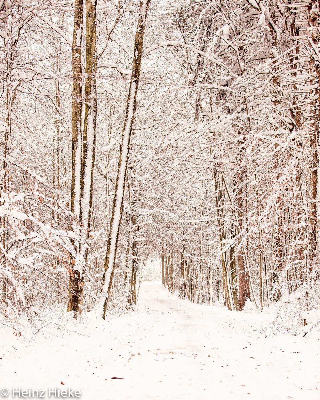 Ermatinger Wald, Switzerland