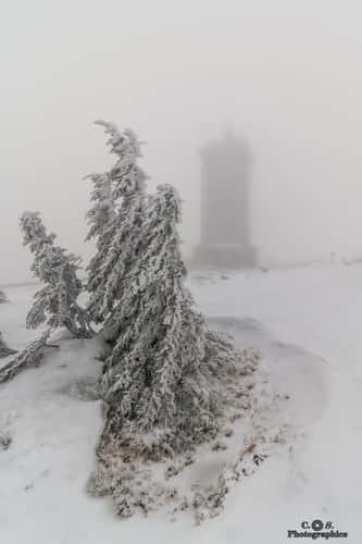 Frozen Troll Army on the Brocken summit