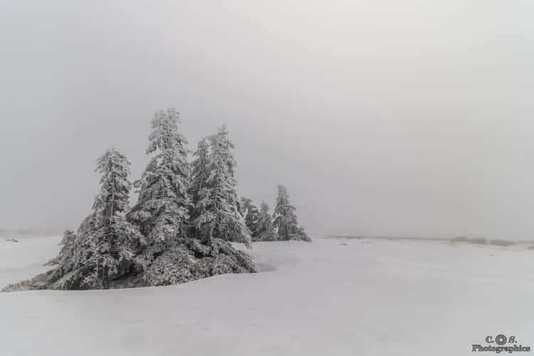 Frozen Troll Army on the Brocken summit