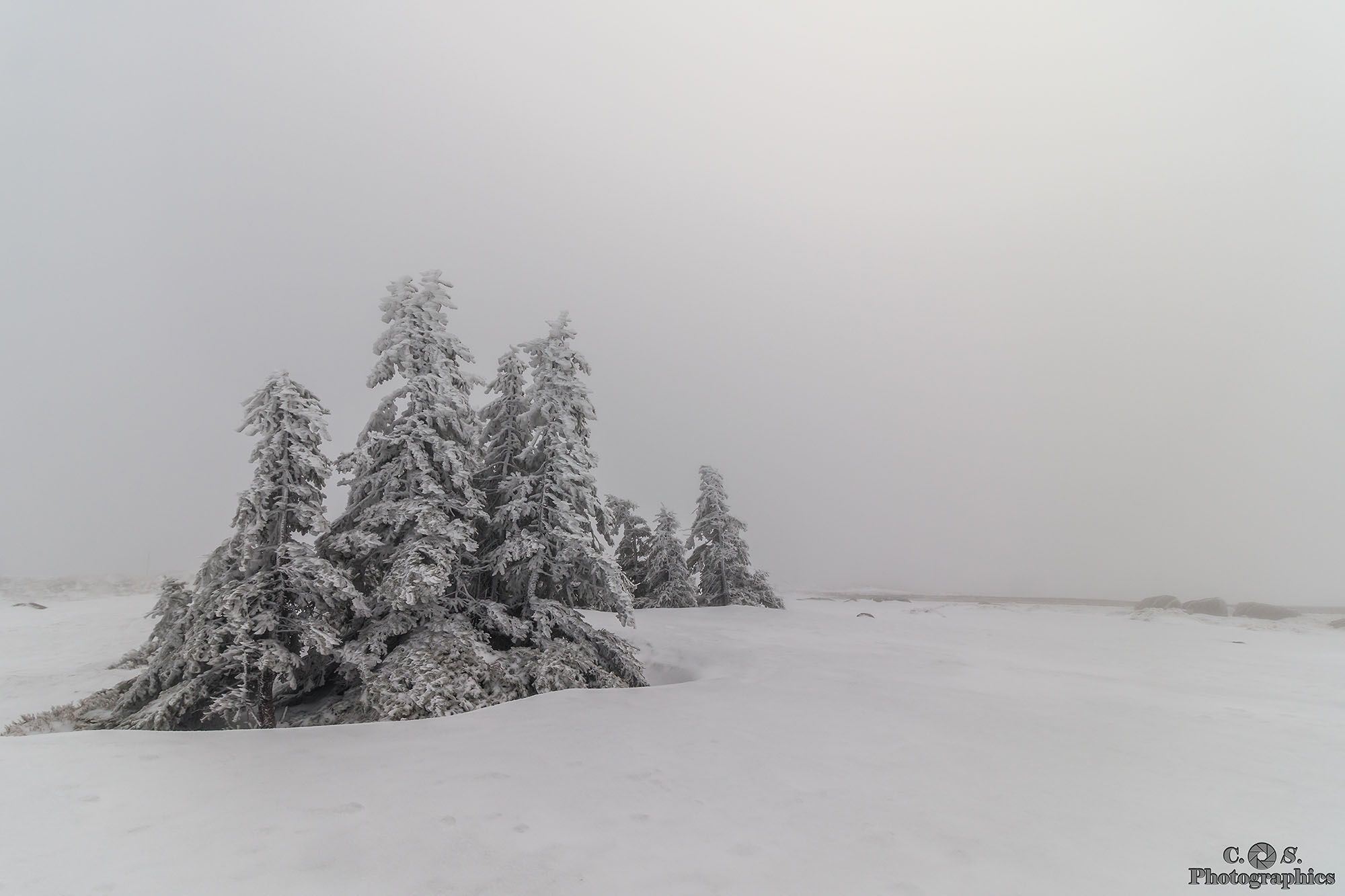 Frozen Troll Army on the Brocken summit, Germany