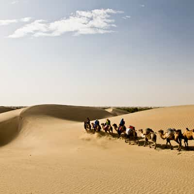 at the Taklamakan, China