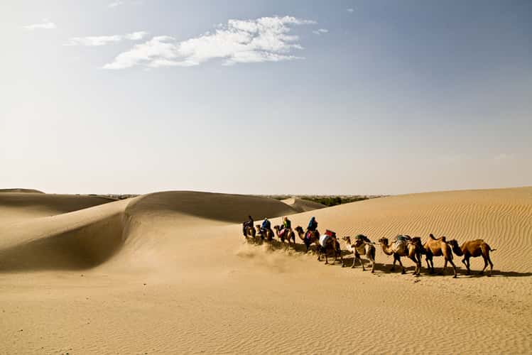 at the Taklamakan