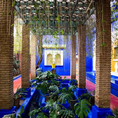 Jardin Majorelle, Marrakesh, Morocco