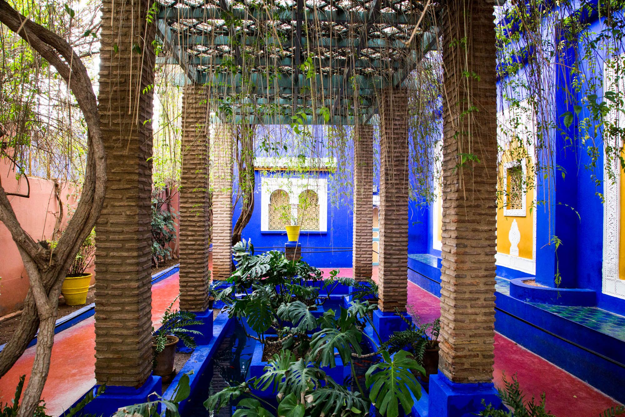 Jardin Majorelle, Marrakesh, Morocco