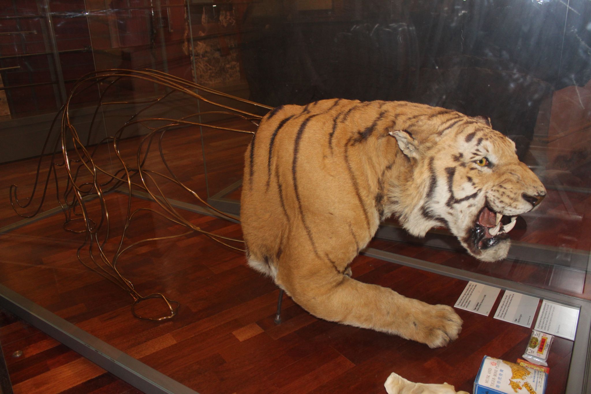 Kelvingrove Art Gallery and Museum, United Kingdom