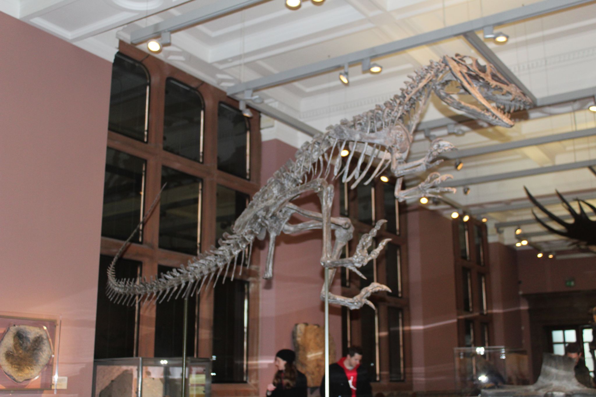 Kelvingrove Art Gallery and Museum, United Kingdom