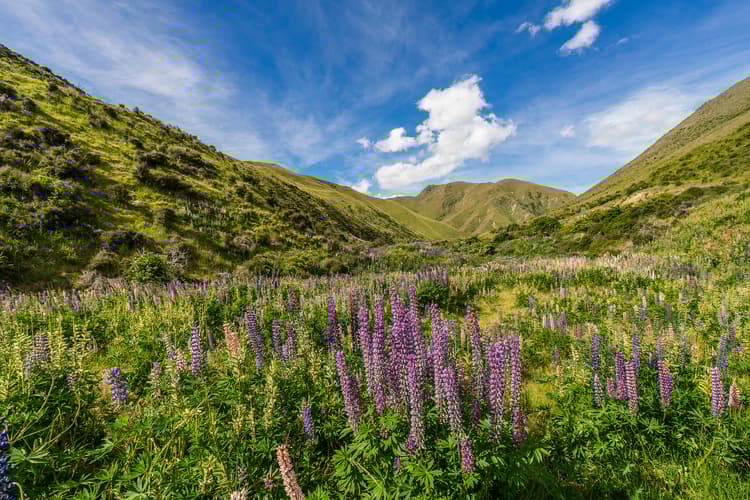 Lindis Pass