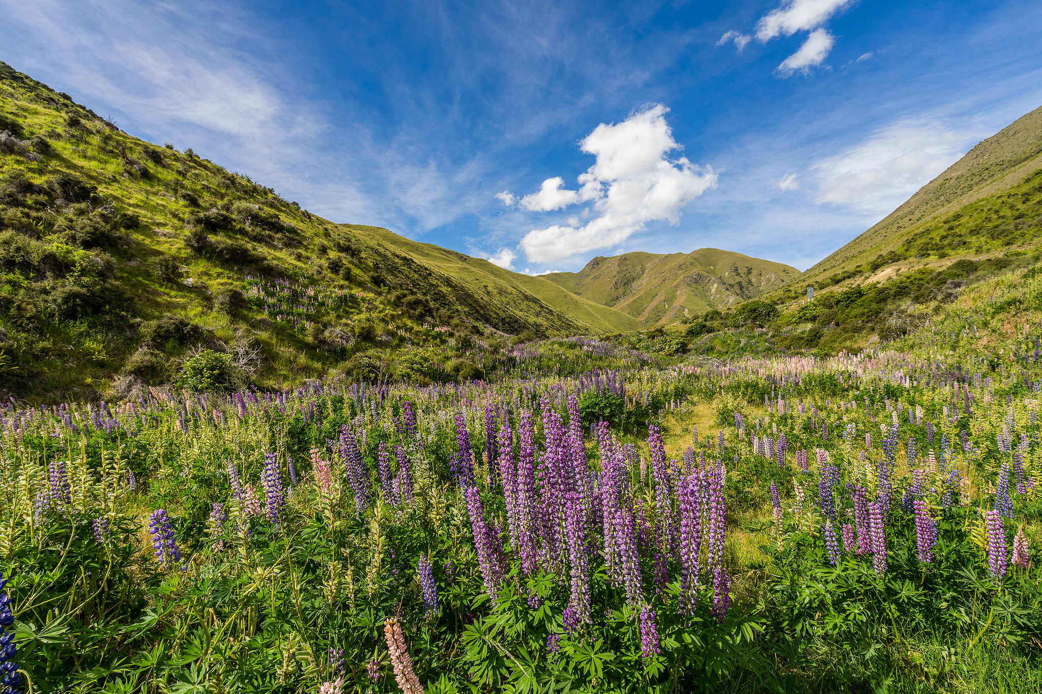 Lindis Pass, New Zealand