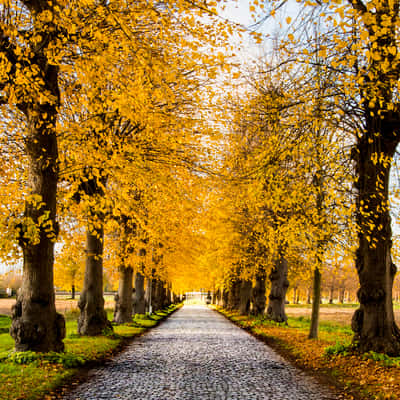 Ooidonkdreef, Belgium