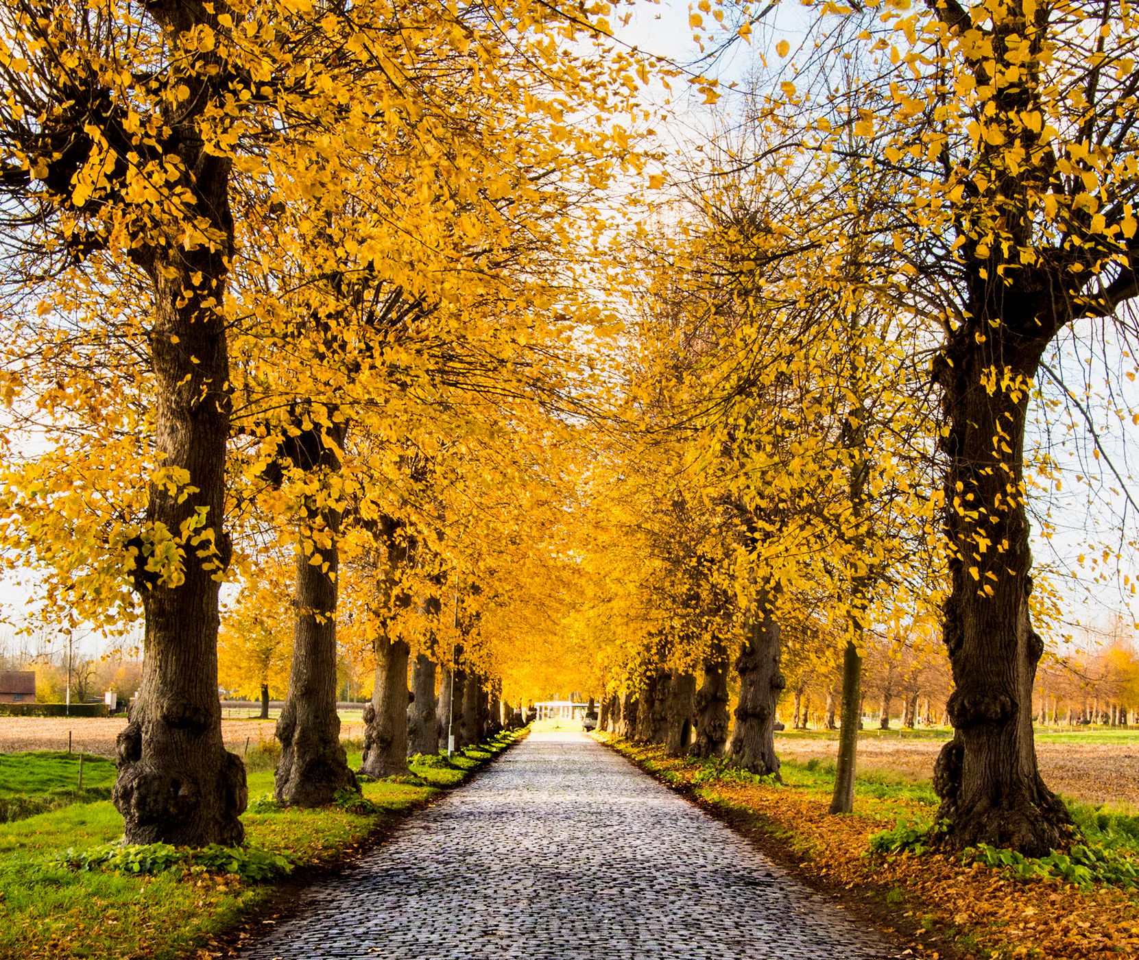 Ooidonkdreef, Belgium