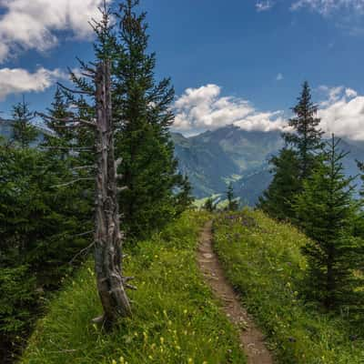 Plattaspitz, Liechtenstein