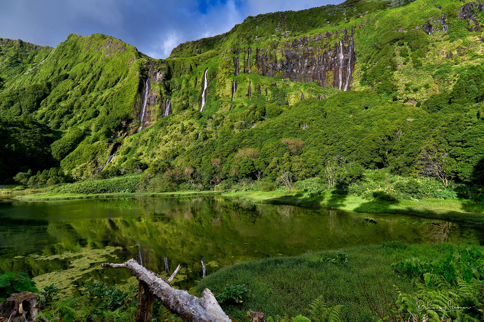Poco da Alagoinha, Flores, Azores, Portugal