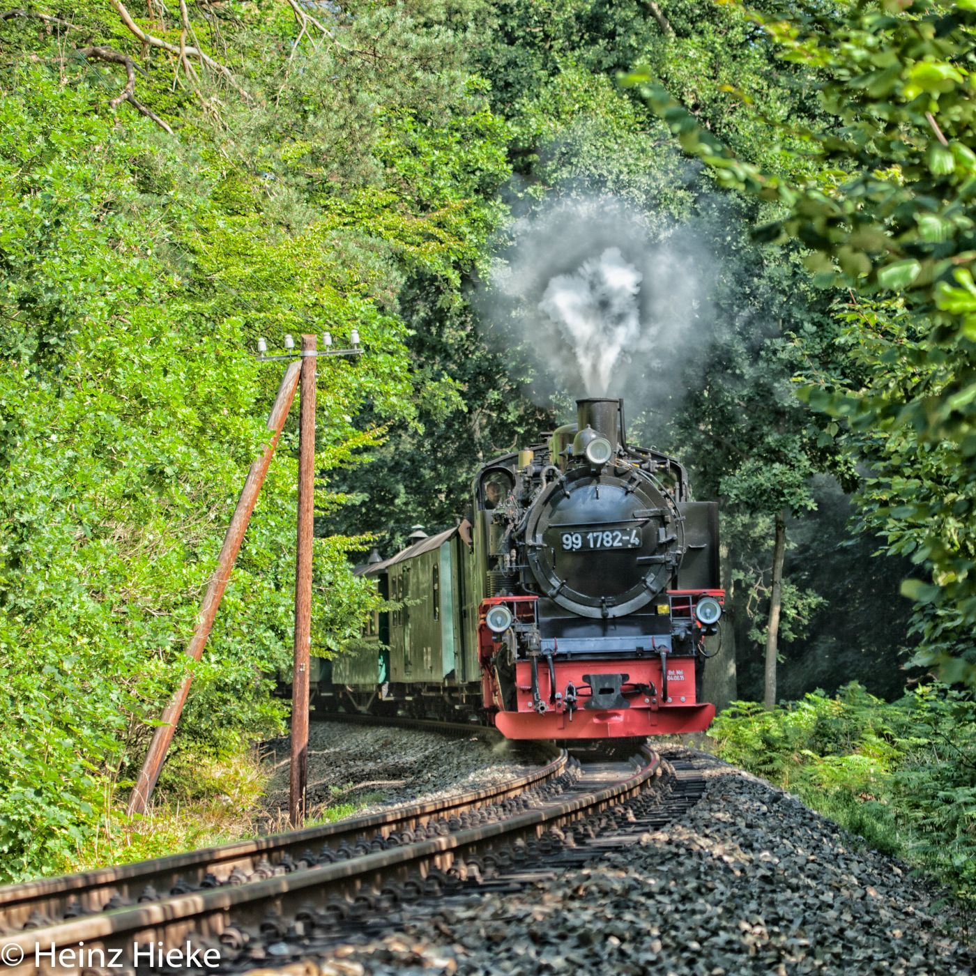 Rasender Roland, Germany