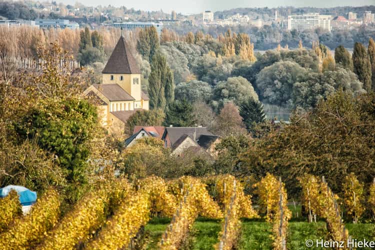 Reichenau