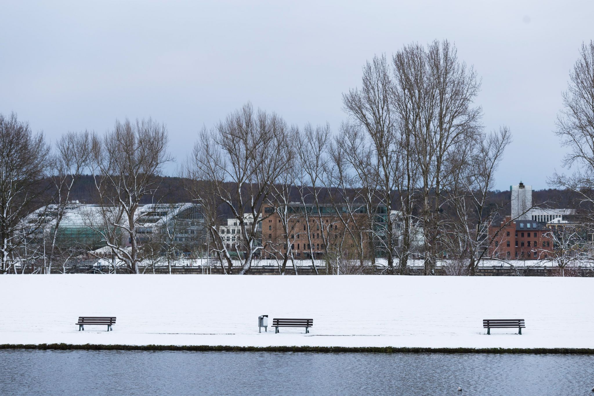 Rheinaue, Bonn, Germany