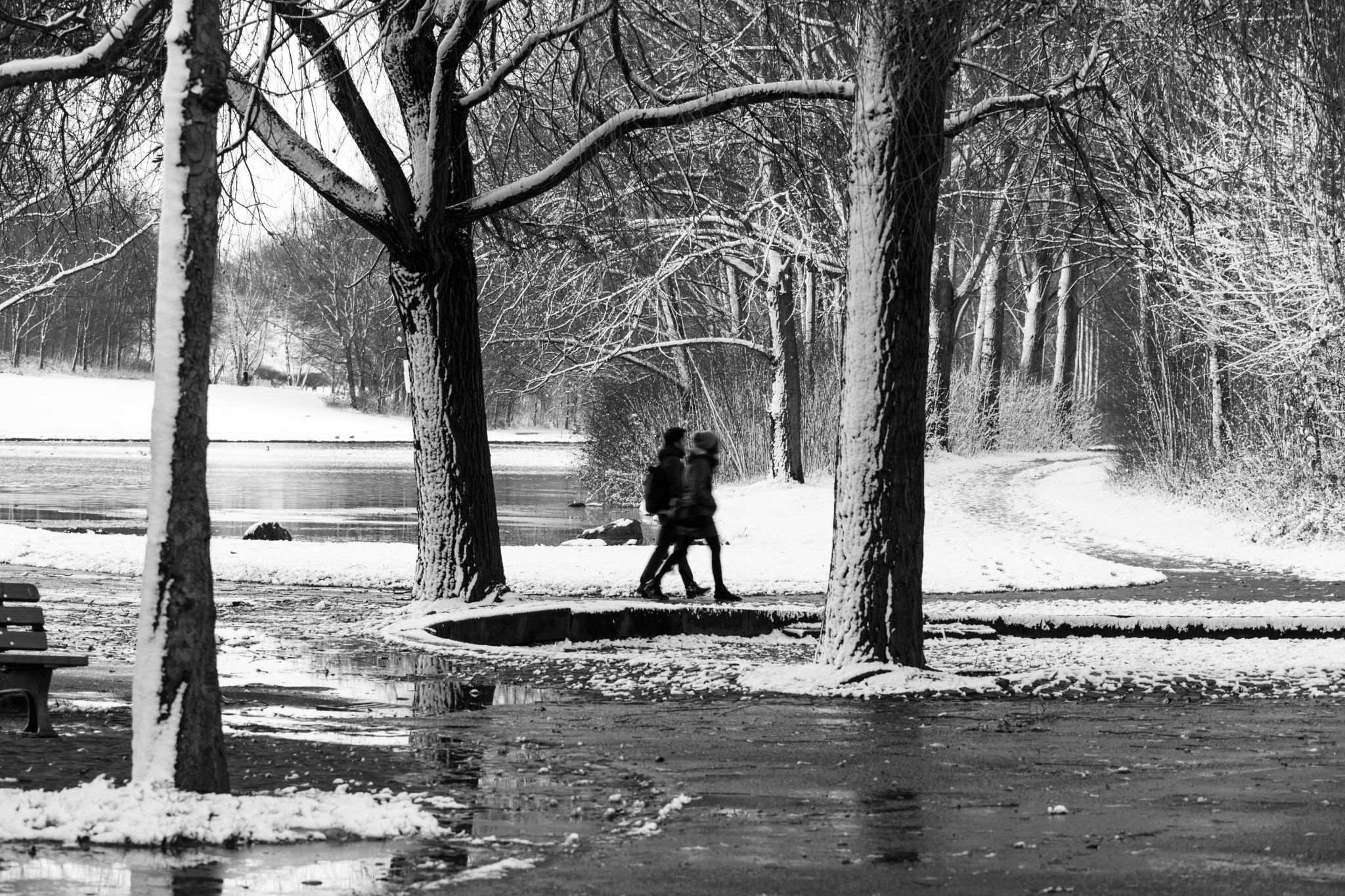 Rheinaue, Bonn, Germany