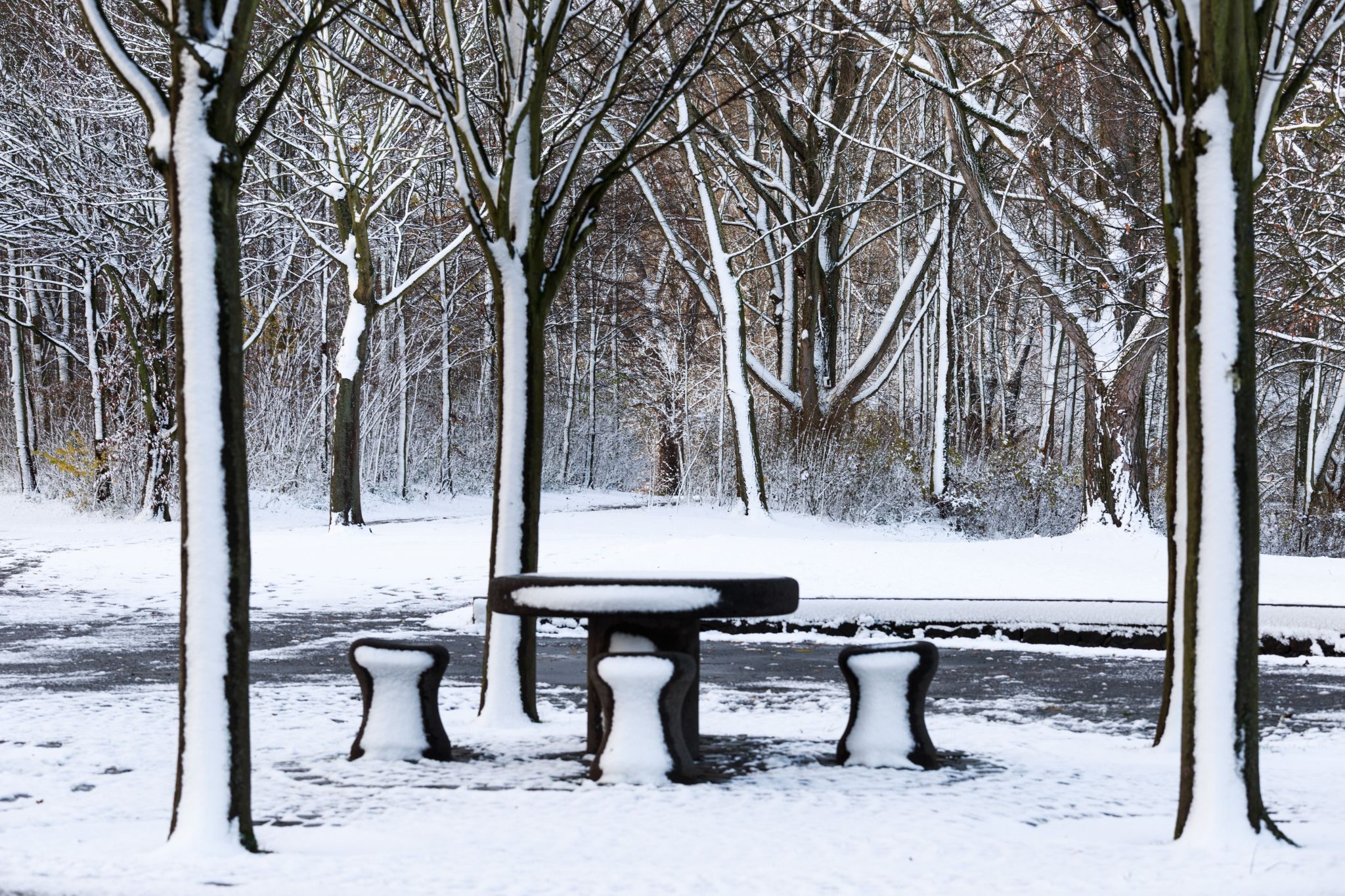 Rheinaue, Bonn, Germany
