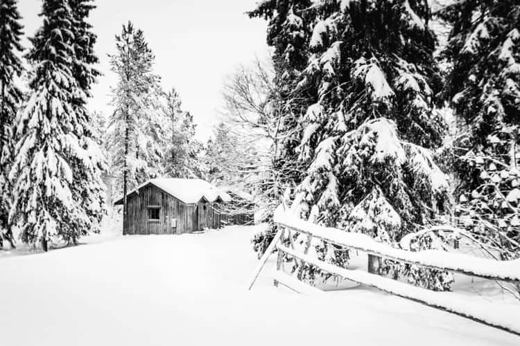 Rovaniemi forest, Tiarvantie road, Rovaniemi, Finland