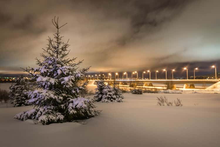 Rovaniemi view from Arktikum museum's garden