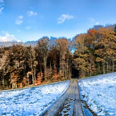 Salen-Reutenen, Switzerland