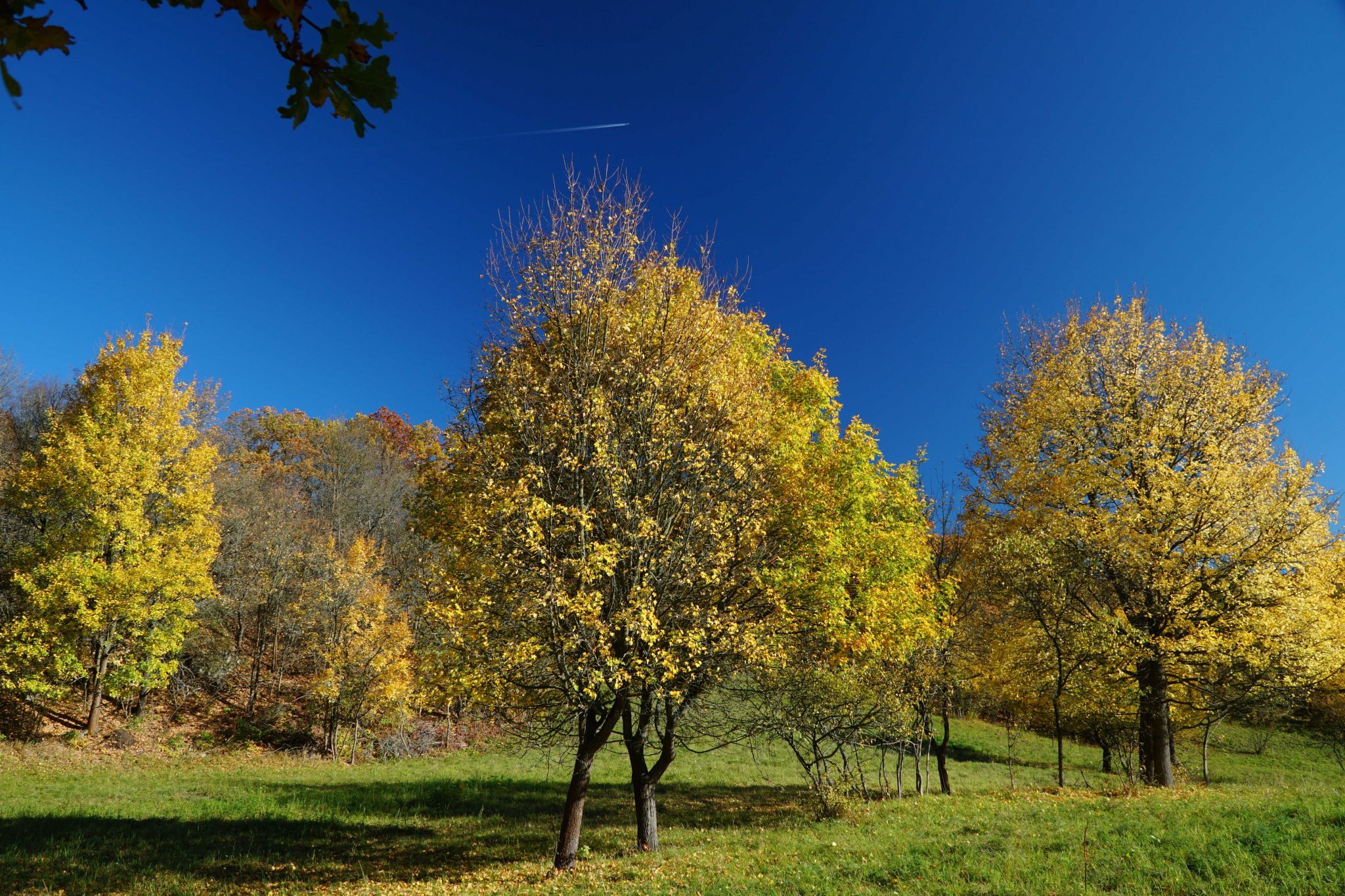 Schiller Höhe / Rudolstädter Riveriera, Germany