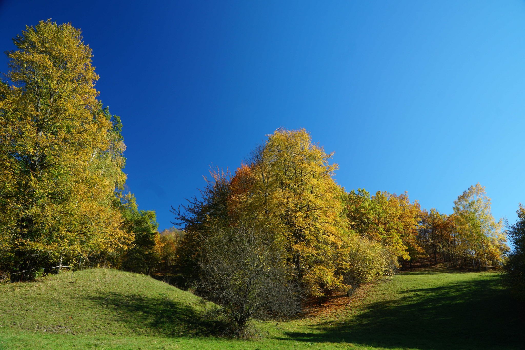Schiller Höhe / Rudolstädter Riveriera, Germany