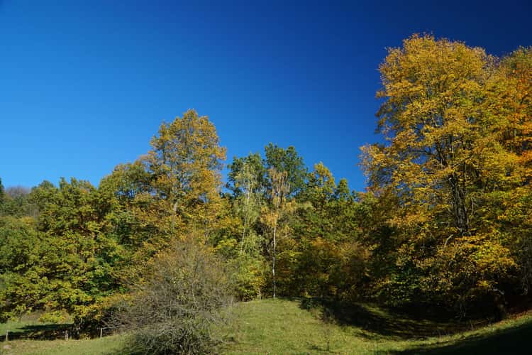 Schiller Höhe / Rudolstädter Riveriera