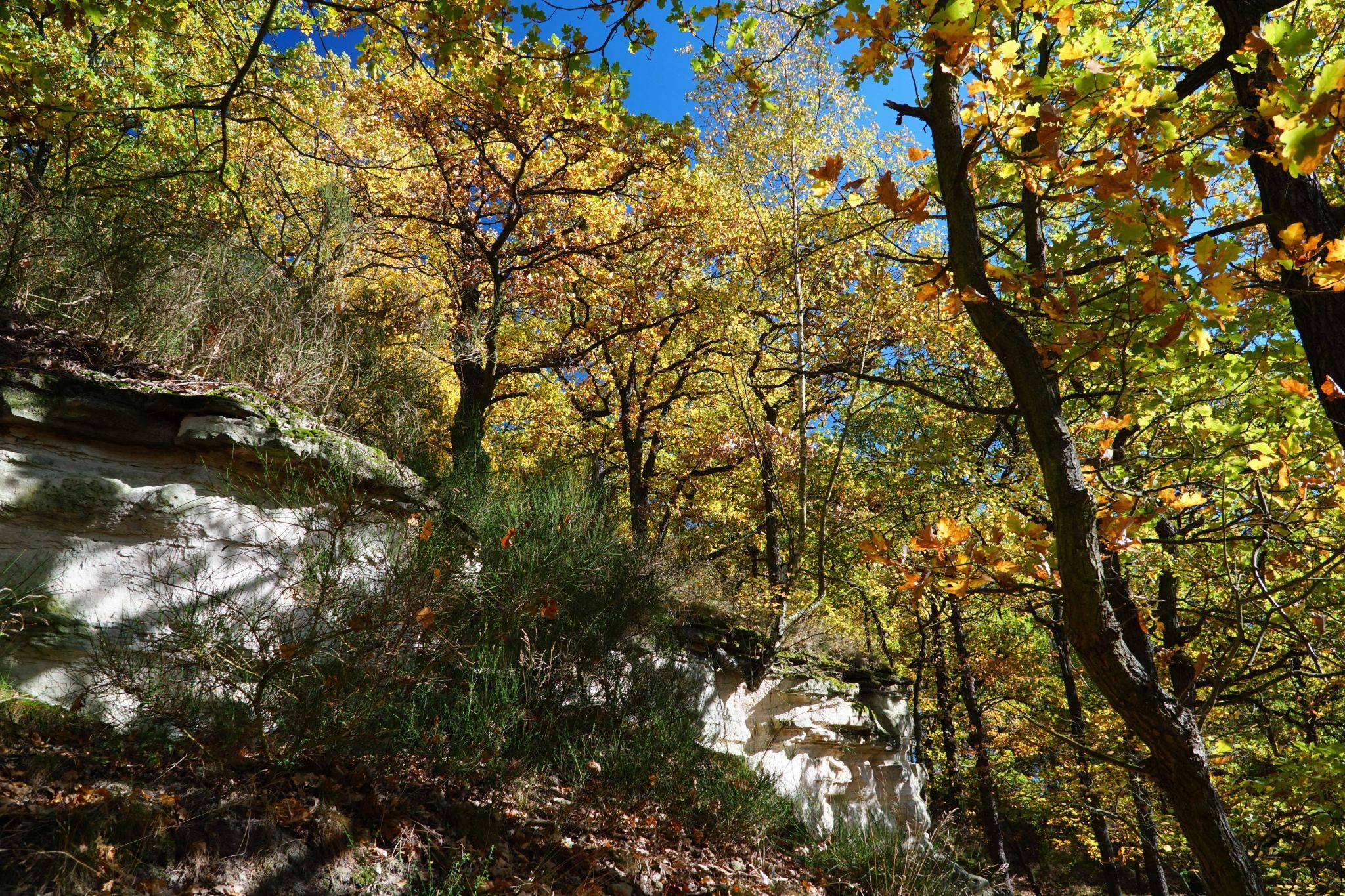 Schiller Höhe / Rudolstädter Riveriera, Germany