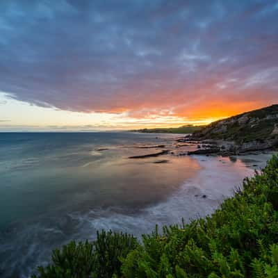 Shag Point, New Zealand