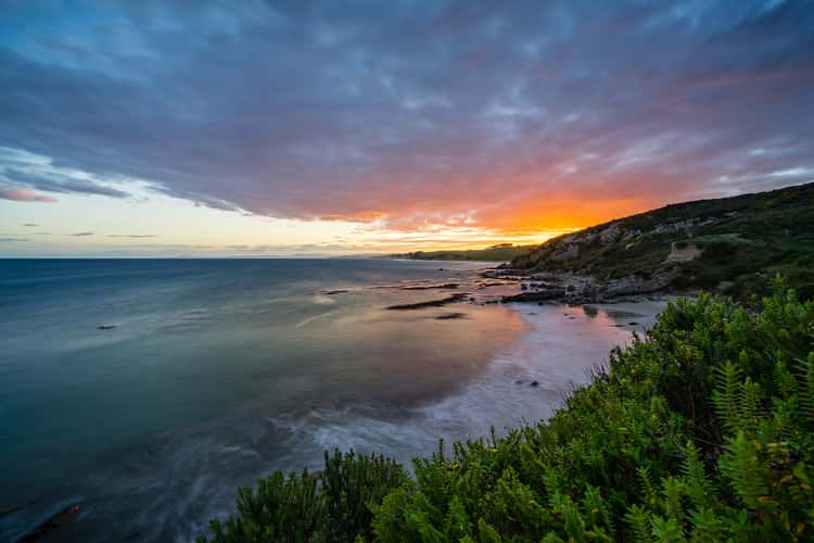 Shag Point