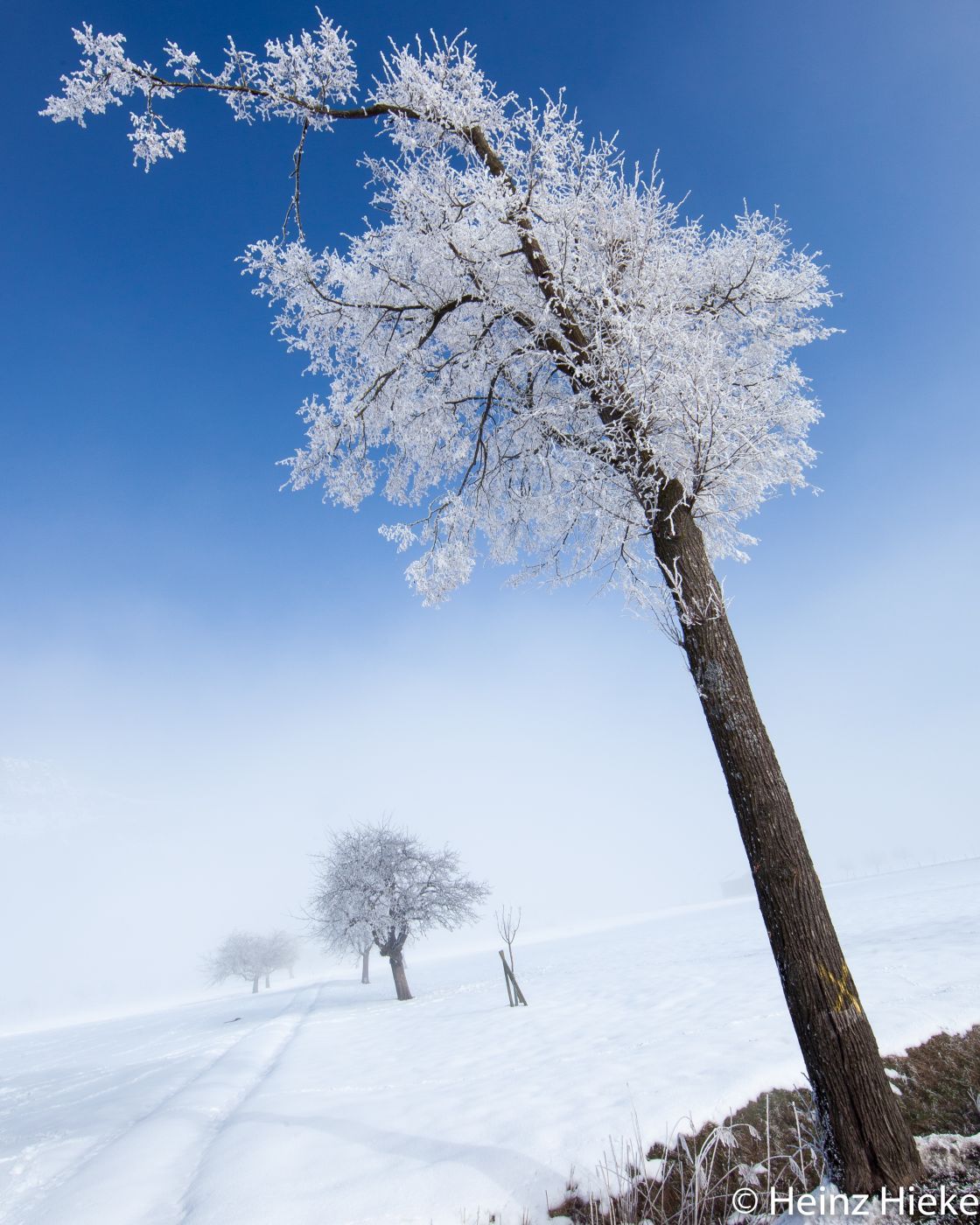St.Galler Rheintal, Switzerland