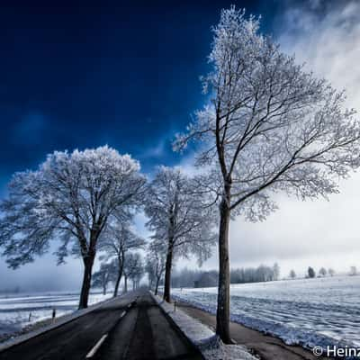 St.Galler Rheintal, Switzerland