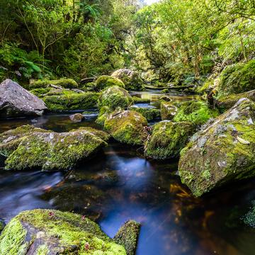 Tautuku River, New Zealand