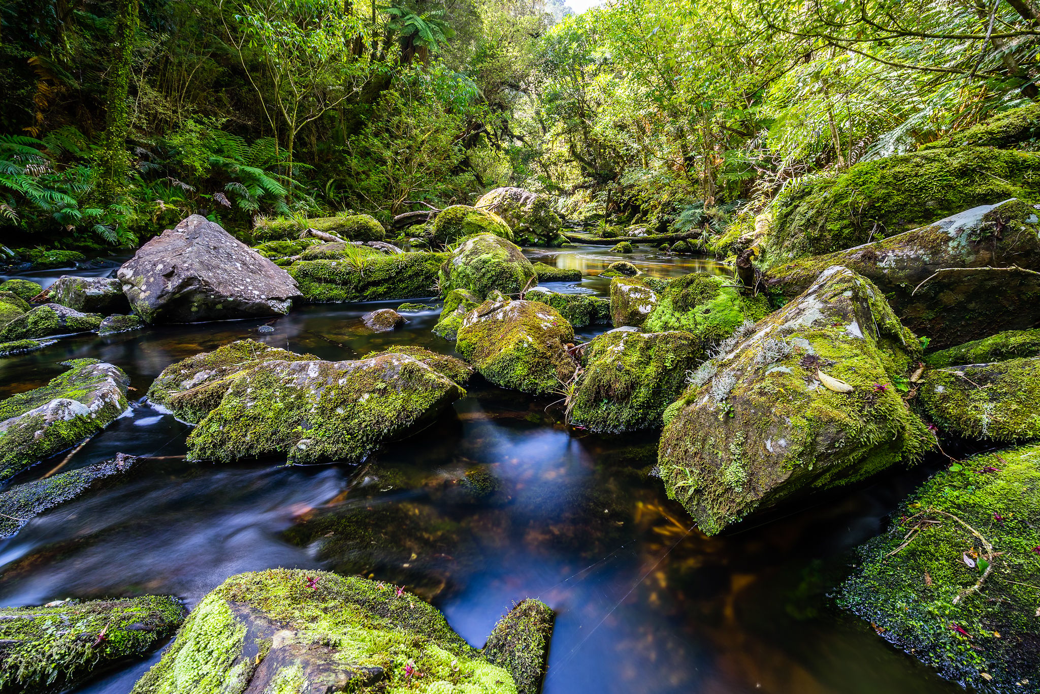 Tautuku River, New Zealand