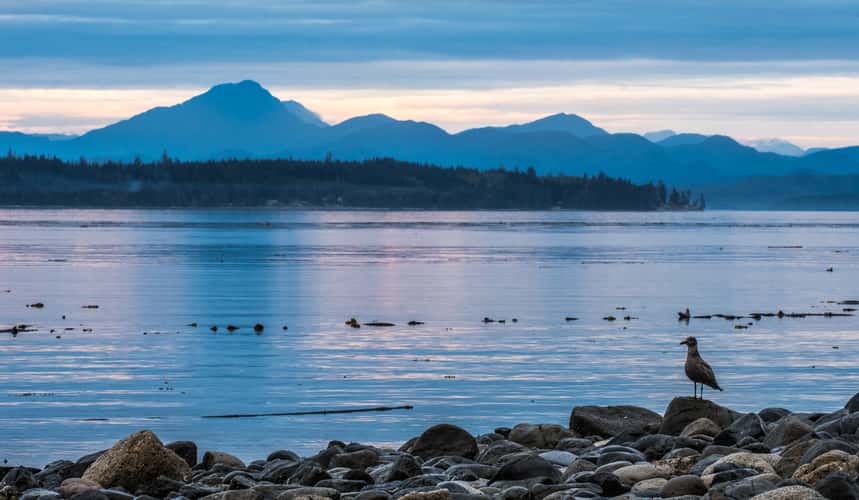 Vancouver Island (Northern)