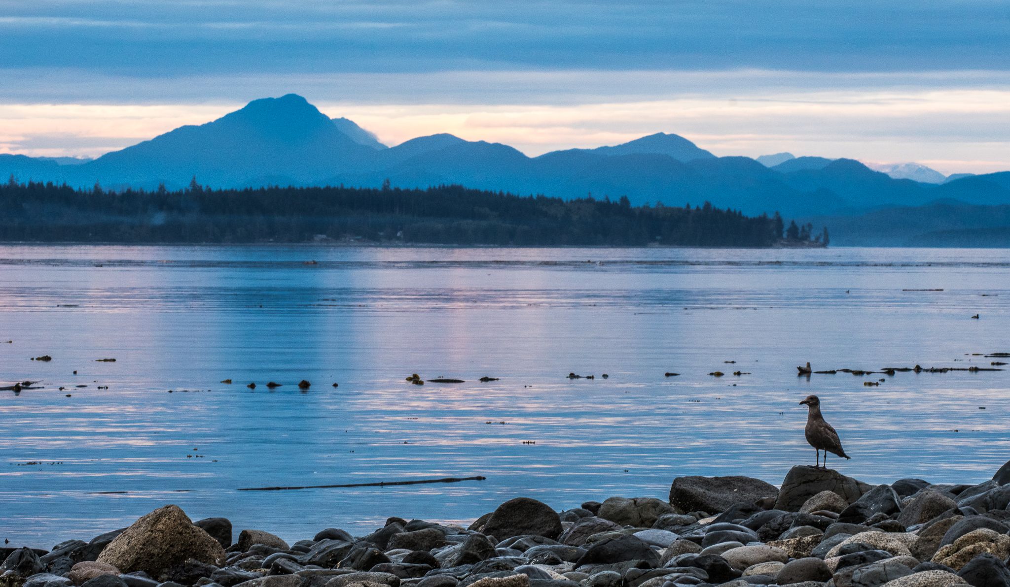 Vancouver Island (Northern), Canada