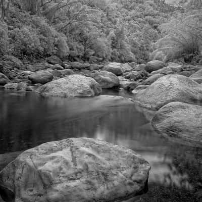 Wag Water near Castleton, Jamaica, Jamaica