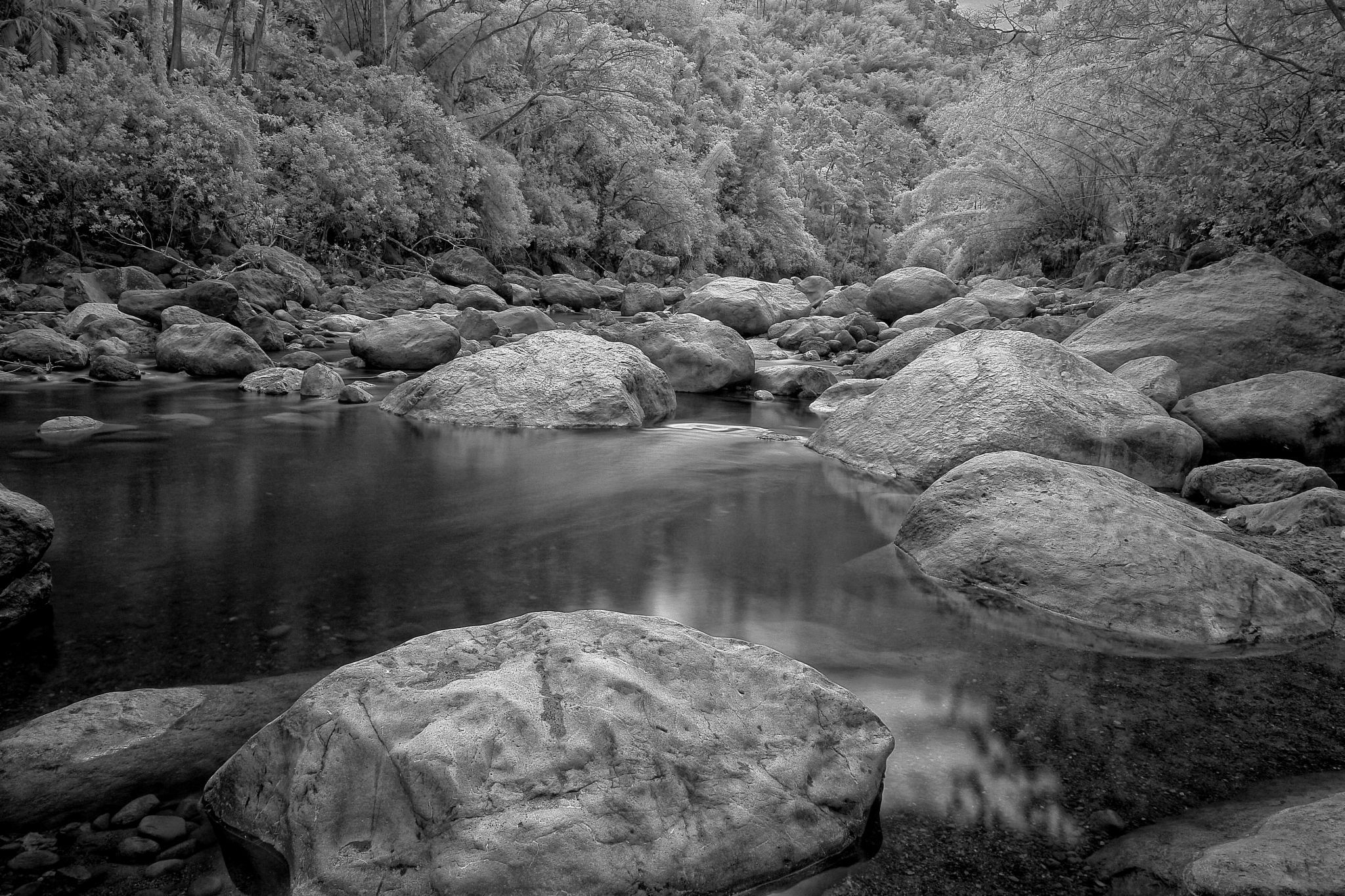 Wag Water near Castleton, Jamaica, Jamaica