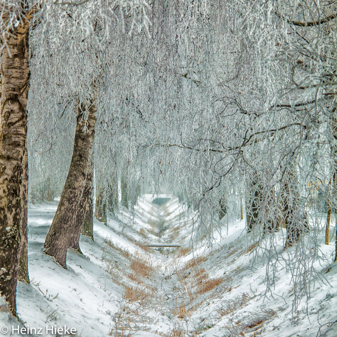 Allee, Switzerland