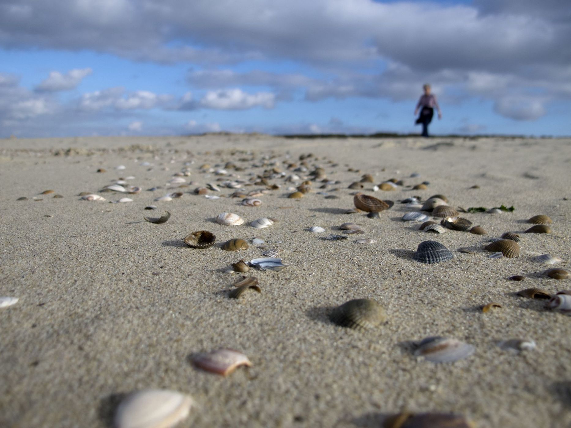 Cadzand beach, Netherlands