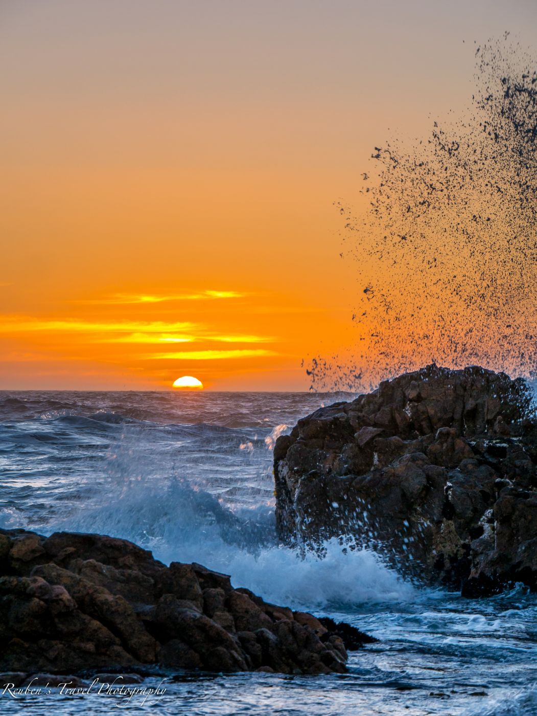 Cape Columbine Nature Reserve, South Africa