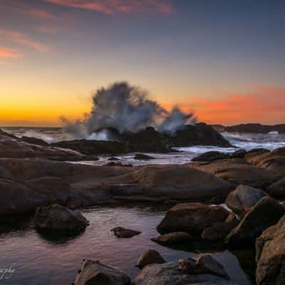 Cape Columbine Nature Reserve, South Africa