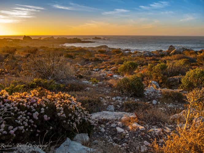 Cape Columbine Nature Reserve