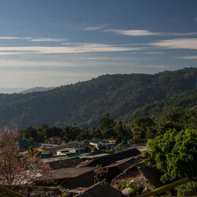 Doi Pui, Thailand