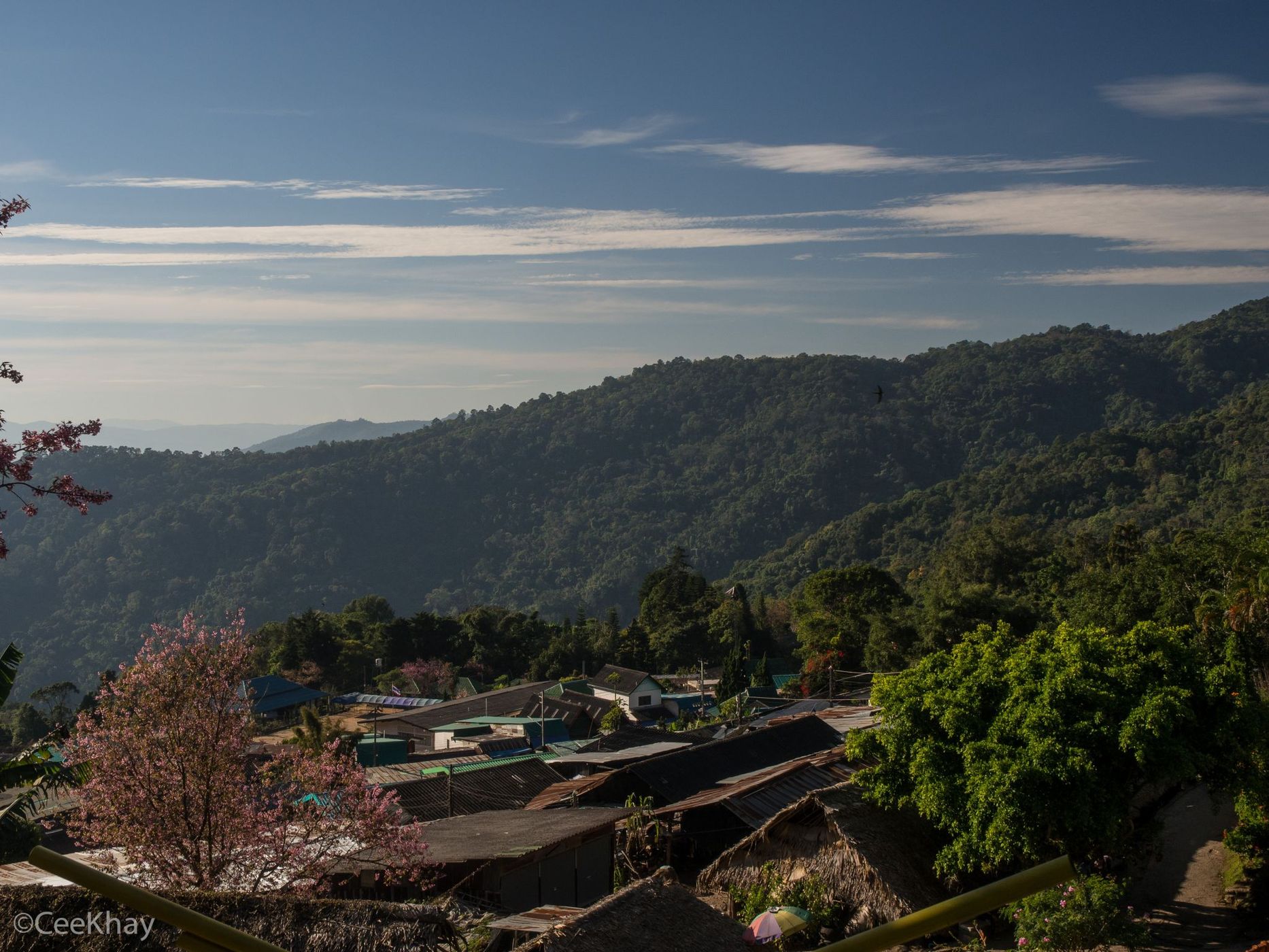 Doi Pui, Thailand